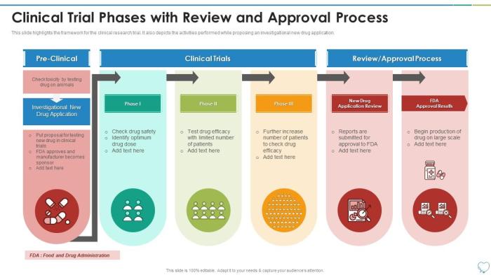 Approval drug process fda nda ind figure